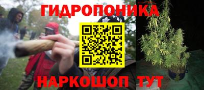 прущая мука Шелехов