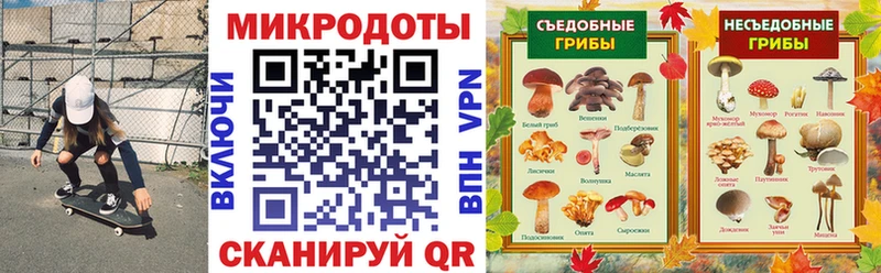 цены наркотик  hydra рабочий сайт  Галлюциногенные грибы GOLDEN TEACHER  Новокузнецк 