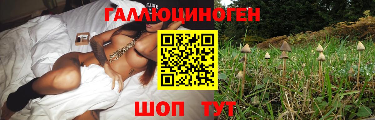 Новокузнецк  Псилоцибиновые грибы Cubensis  Вход с VPN 