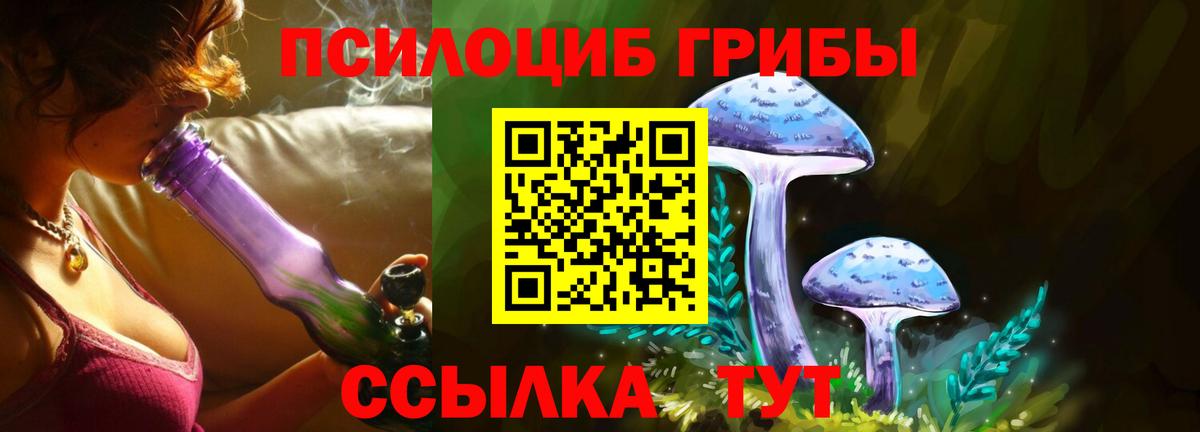 Галлюциногенные грибы MAGIC MUSHROOMS Новокузнецк